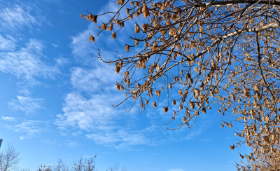 湖北未来三天连晴升温，今年冬季是冷冬还是暖冬？