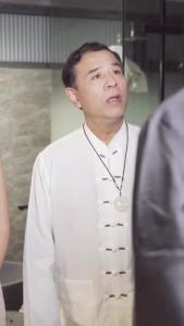 都市极品医仙11