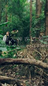 金刚大战巨蟒23