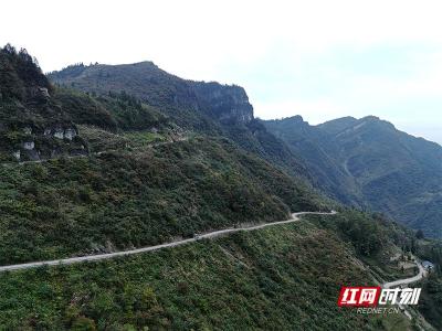 云端下的小卖部丨湖北长顺坝村：65万粉丝催更跑山卖货郎