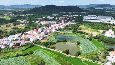 田园新曲｜荒山复绿引客来 产业融合富百姓