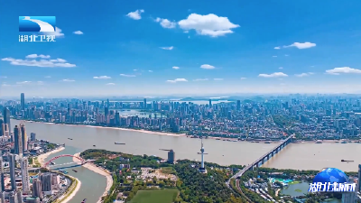 湖北“十四五”经济大省挑大梁丨能级跨越实现新突破