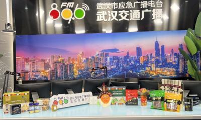 “十四五”收官谱新篇 云端援藏点燃雪域新引擎