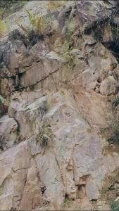 金刚大战巨蟒33