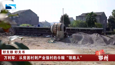 好支部 好支书 | 万利军：从贫困村到产业强村的巾帼“领路人”