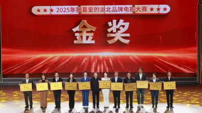 总分第一！“天门衣尚”斩获金奖！