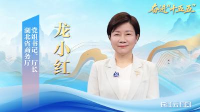 湖北省商务厅党组书记、厅长龙小红：扩内需强开放，绘就发展新图景