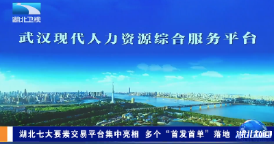 湖北七大要素交易平台集中亮相 多个“首发首单”落地