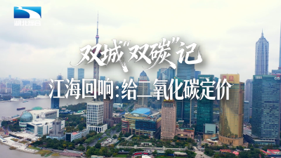 双城“双碳”记 | 上海交易，武汉登记结算，800公里如何“隔空”定价碳排放？