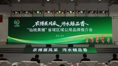 农博展风采 水乡鳝品香