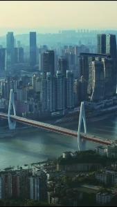 金刚大战巨蟒17