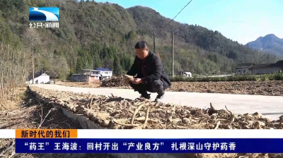 “药王”王海波：回村开出“产业良方” 扎根深山守护药香 