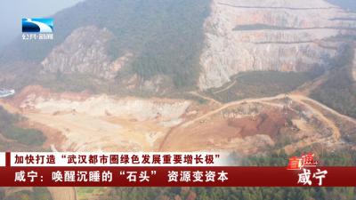 咸宁：唤醒沉睡的“石头” 资源变资本