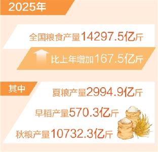 又迎丰收！全年粮食生产实现高位增产