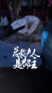 总裁夫人是郡主72