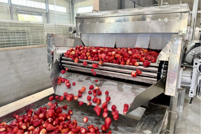 果香漫乡野匠心绘振兴 ——武汉王家河的农品致富路