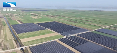 襄阳宜城：招商引“菌” 闲田生“金”