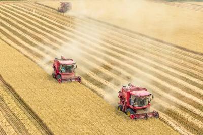 新华社发布长文：解码中国经济稳健前行的底气