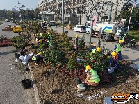 图集 | 荆州中收费站通车进入最后的倒计时