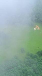 金刚大战巨蟒22