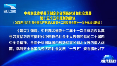 中共湖北省委关于制定全省国民经济和社会发展第十五个五年规划的建议