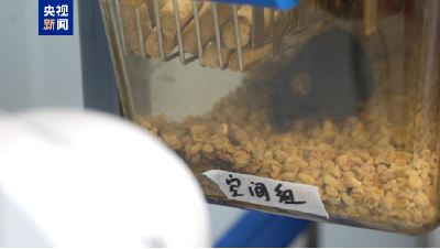 “太空小鼠”返回地面后成功孕育幼仔