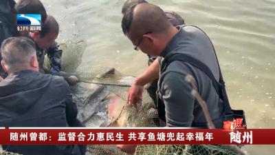 随州曾都：监督合力惠民生 共享鱼塘兜起幸福年