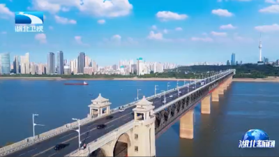 推动长江经济带发展座谈会十周年 | 逐绿向新 为了下一个十年