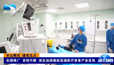 牢记嘱托 建成支点 | 全国推广 首创不断 湖北加速崛起高端医疗装备产业高地