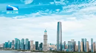 市州两会观察丨武汉：2030年基本建成“五个中心” “五谷联动”促区域协同