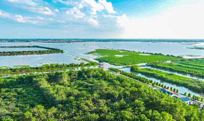 长江干流水质由部分五类提升到全线二类