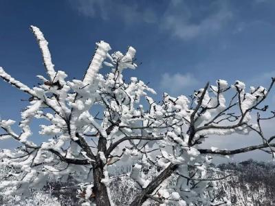 湖北多地下雪！这里积雪10厘米厚，马上还要下