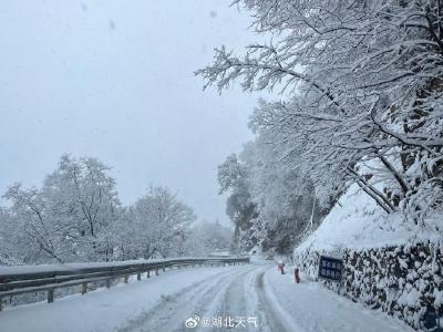 最低-6℃！暴雪+冻雨+路面结冰！湖北雨雪将进入最强时段