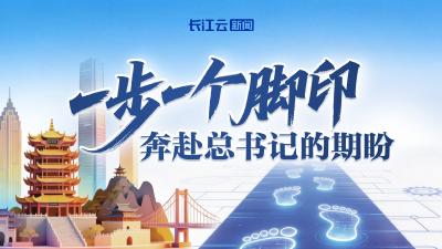 一步一个脚印，奔赴总书记的期盼