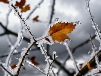 雪落云梦，一城诗意入画来
