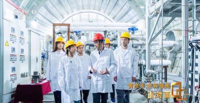 二氧化碳“烧”出高效电 中国团队攻克世界级难题