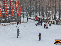 图集 | 荆州迎初雪，古城内外银装素裹