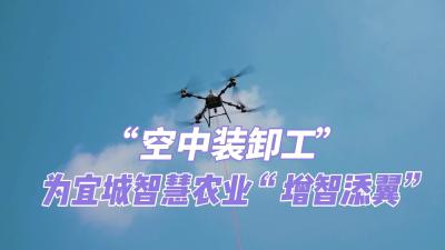 《空中装卸工》