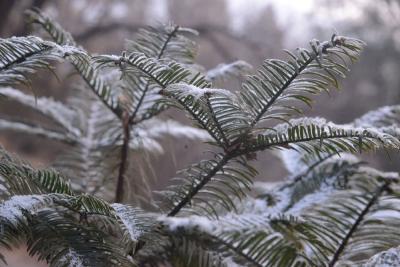最强寒潮来袭！湖北将上演冷暖大逆转