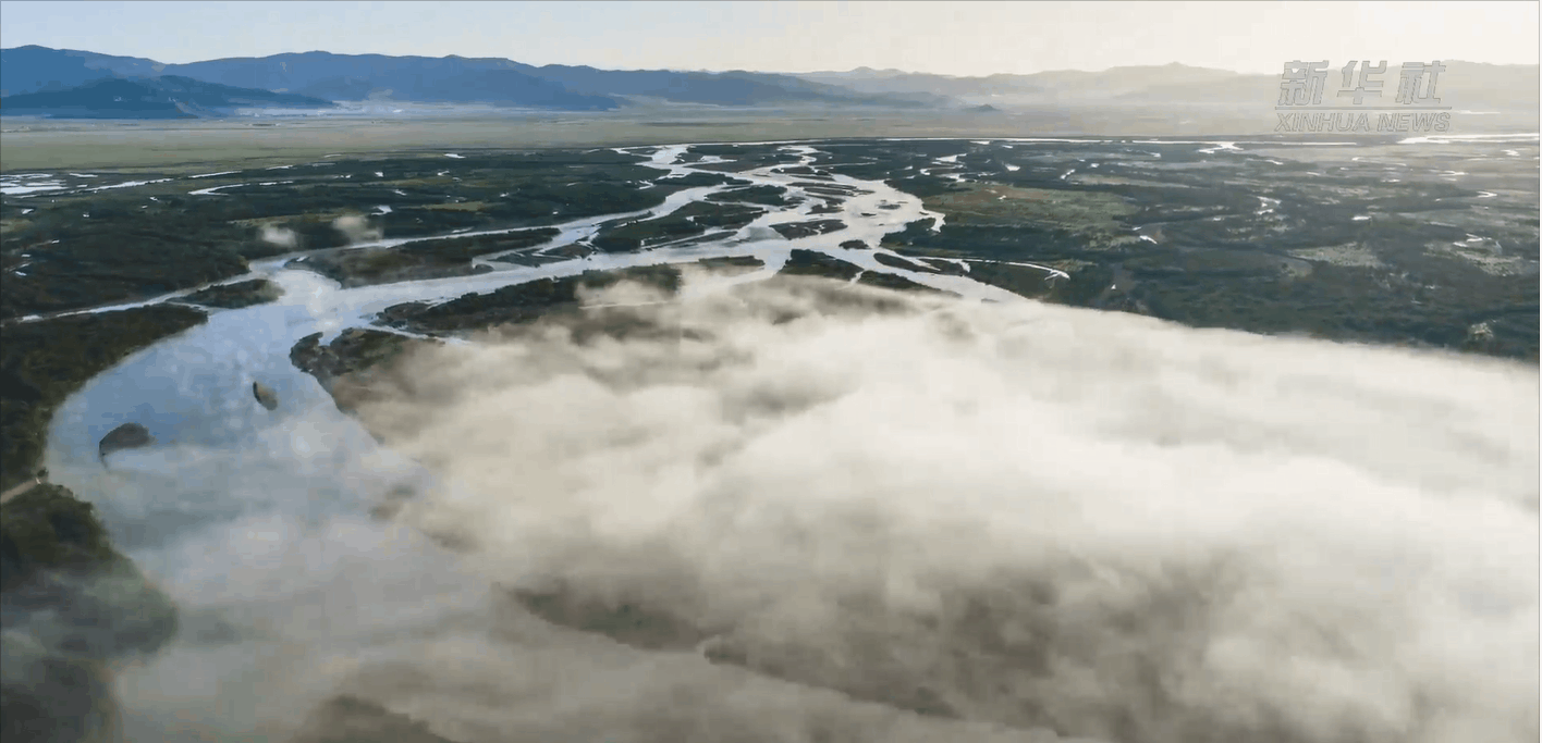 新华社聚焦湖北：长江禁渔五年，发生了哪些变化？