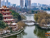 图集 | 沙市中山公园：雪中赏梅正当时！