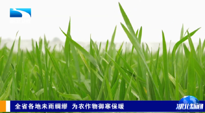 全省各地未雨绸缪 为农作物御寒保暖