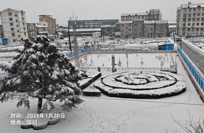 湖北多地出现大到暴雪 积雪深度超10厘米