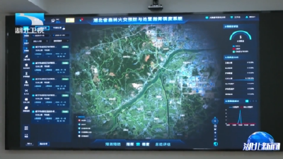 何良军赴咸宁调研林长制工作