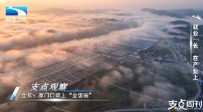 就业“长”在产业上 | 支点观察  生长：家门口端上“金饭碗”