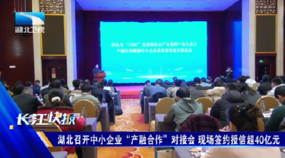 湖北召开中小企业“产融合作”对接会 现场签约授信超40亿元