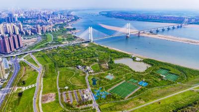 《人民日报》头版头条聚焦湖北：老杨小杨思想“转弯”记