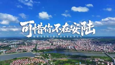 《可惜你不在安陆》