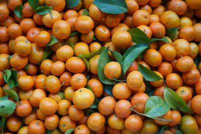 沙糖桔上市，不少人“按箱猛炫”！挑选方法拿走不谢