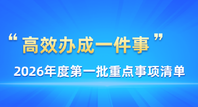 关系育儿补贴申领、新房购置……这些事，今年高效办（附清单）